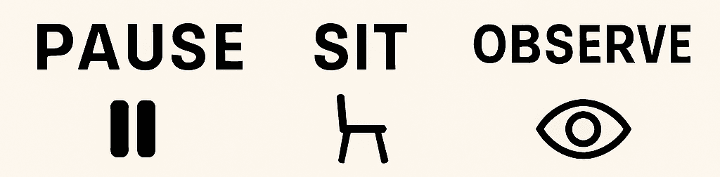 Pause Sit Observe